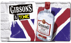 Bebidas Ginebra Gibson 