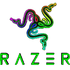 Multimedia Computer - Hardware Razer 