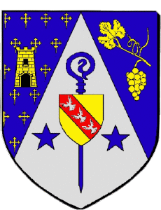 Banderas Francia Departamentos - Ciudades 54 VILLERS LES NANCY 