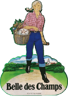 Food Cheeses France Belle des champs 