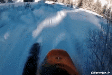 Humor -  Fun Sports Canoe Kayak Fun - Win 