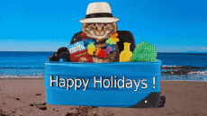 Messages Anglais Happy Holidays Fond Animé 003 