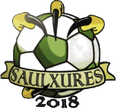 Deportes Fútbol Clubes Francia Grand Est 52 - Haute-Marne Les Jeunes Saulxurois 
