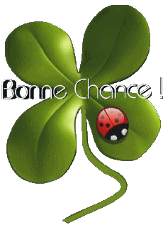 Messages French Bonne Chance 01 