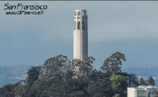 Humor -  Fun Places -TimeLapse USA - San Francisco 