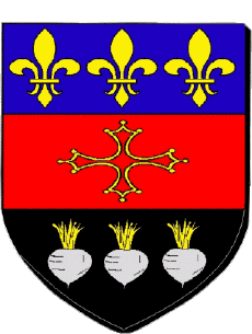 Blasone-Bandiere Francia Dipartimenti - Città 81 RABASTENS 