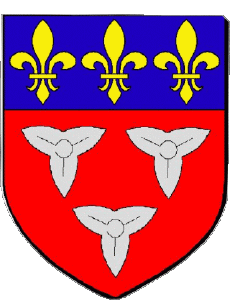 Banderas Francia Departamentos - Ciudades 45 ORLEANS 