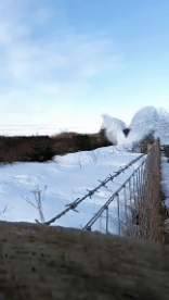 Humor -  Fun Transport Trains - Metro Fun - Win 