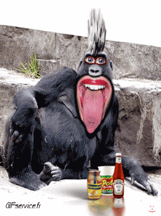 Humor -  Fun Animals Monkeys 01 