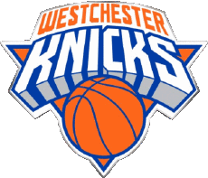 Sports Basketball U.S.A - N B A Gatorade Westchester Knicks 