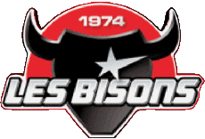 Sport Eishockey Frankreich Neuilly-sur-Marne 93 Bisons 