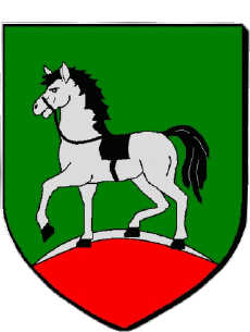 Blason-Drapeaux France Départements - Villes 62 HENIN BEAUMONT 