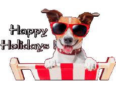 Messages English Happy Holidays Transparent Background 03 