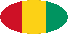Bandiere Africa Guinea Ovale 01 