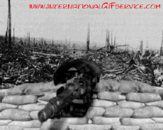 Humour - Fun Animaux Furets 01 