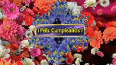 Mensajes Español Feliz Cumpleaños Floral Fondo animado 003 