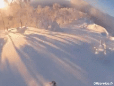 Humor -  Fun Sports SnowBoard Fun - Win 