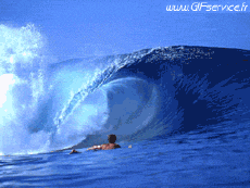 Umorismo -  Fun Trasporti Treni - Metro Non  Stop - Fun 