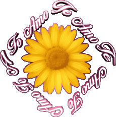 Messages Spanish Te Amo 02 