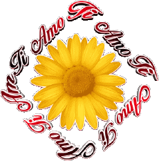 Messages Italian Ti Amo 02 