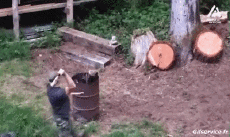 Humor -  Fun PEOPLE Ax Throwing Serie 01 