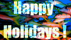 Mensajes Inglés Happy Holidays Fondo animado 001 