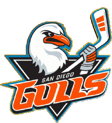 Sports Hockey - Clubs U.S.A - AHL American Hockey League San Diego Gulls 