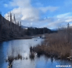 Humor -  Fun Transport Boats Fun - Win 