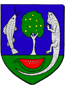 Banderas Francia Departamentos - Ciudades 973 MACOURIA 