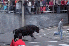 Humor -  Fun Tiere Stier 01 