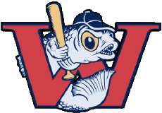 Deportes Béisbol U.S.A - A A B Winnipeg Goldeyes 