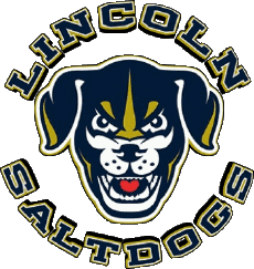 Sportivo Baseball U.S.A - A A B Lincoln Saltdogs 
