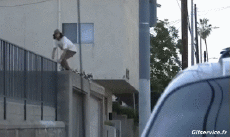 Humor -  Fun Sports Skateboard Free Style Fun - Win 01 