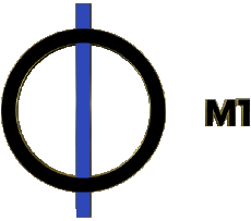 Multi Media Channels - TV World Hungary M1 