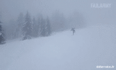 Humor -  Fun Sports Ski Fail Various 