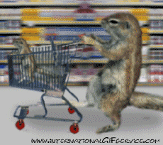 Humor -  Fun Tiere Eichhörnchen 01 