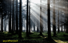 Humor - Fun Efectos 3d Stéreoscopique Wiggle avec Matrice 