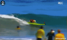 Humor - Fun Animales Perros 04 