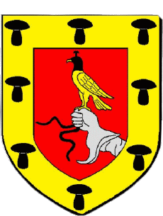 Wappen-Fahnen Frankreich Abteilungen - Städte 78 HOUILLES 