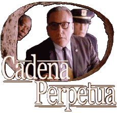 Multimedia Film Internazionale Le Ali Della Liberta Logo Spagnolo 