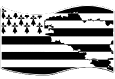 Flags France Regions Brittany Rectangle 