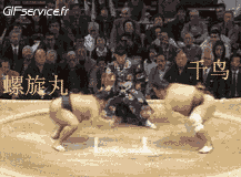 Humor -  Fun Sport Sumo Serie 01 