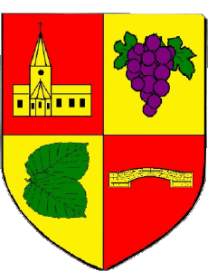 Banderas Francia Departamentos - Ciudades 09 VERNIOLLE 