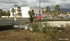 Umorismo -  Fun Sportivo Skateboard Free Style Fun - Win 02 