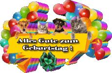 Nachrichten Deutsche Alles Gute zum Geburtstag Tiere 007 