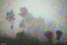 Humor -  Fun GIF Artists Bill Tavis 