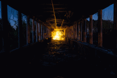 Humor - Fun GIF Artista Lucea Spinelli 