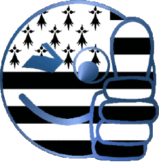 Fahnen Frankreich Regionen Bretagne Smiley - OK 