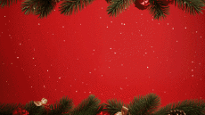 Mensajes Español Feliz Navidad Video 