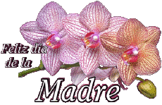 Messages Espagnol Feliz día de la madre 05 